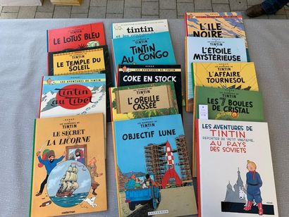 null Tintin. Un ensemble de 14 albums.