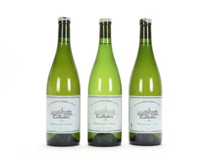 null 1 B SANCERRE CAILLOTTES (capsule avec cire abimée) François Cotat 2015
1 B SANCERRE...