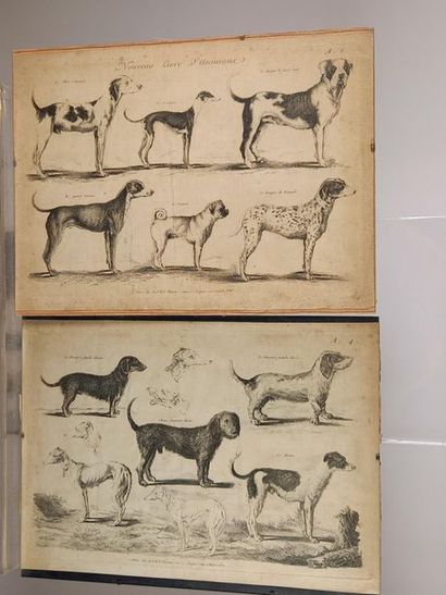 null Deux planches 
Chien issue du nouveau livre des animaux 
29 x 40 cm