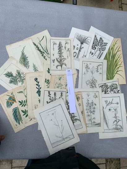 null [Botanique] 29 gravures XVIIIe ou début XIXe, certaines en couleurs.