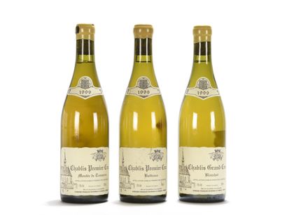 null 1 B CHABLIS BLANCHOT (Grand Cru) Domaine Raveneau 1999

1 B CHABLIS MONTÉE DE...