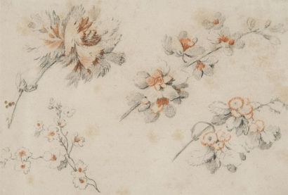 null Attribué à PILLEMENT
étude de fleurs
dessin sur papier
18.5 x 25.5cm