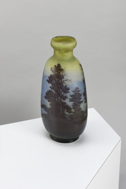 null Emile GALLE (1846-1904) 

Paysage Vosgien

Vase de forme oblongue en verre multicouche...