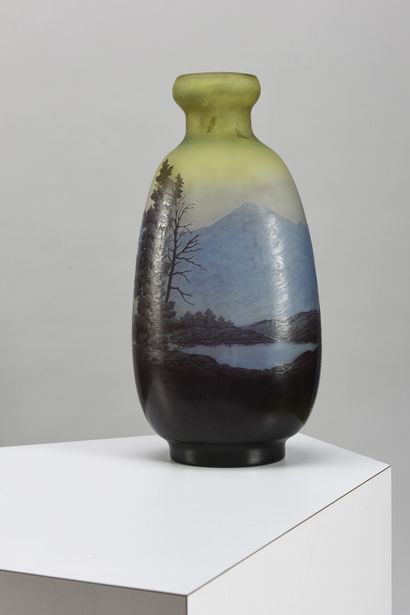 null Emile GALLE (1846-1904) 

Paysage Vosgien

Vase de forme oblongue en verre multicouche...