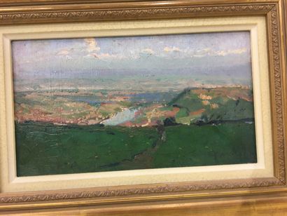 null David GIRIN (1848-1917)

Ecole lyonnaise

Paysage

huile sur carton

13 x 22.5...