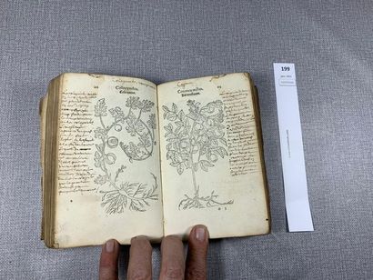 null [Botanique]. Leonahrt Fuchs. 1 volume XVIe (1545) contenant de très nombreux...