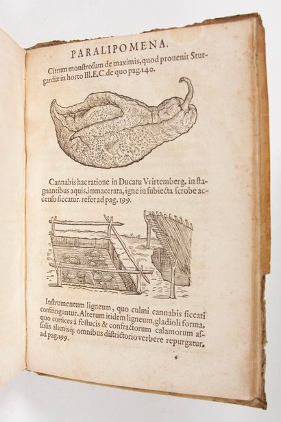null BAUHIN (Jean) : Historia novi et admirabilis fontis balneique Bollensis in Ducatu...
