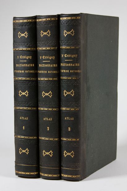 null ORBIGNY (Charles DESSALINES d') : Dictionnaire Universel d'Histoire Naturelle,...