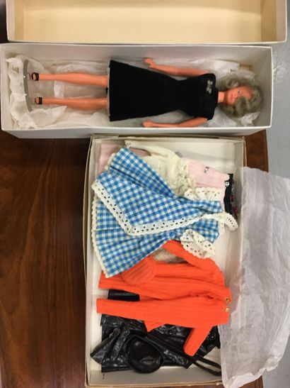 null Barbie Skipper par MATTEL : barbie dans boite joint accessoires et vêtements...
