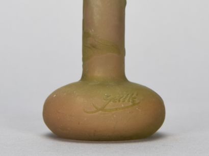 null Emile GALLÉ (1846-1904)

Vase à long col à base aplatie en verre multicouche...