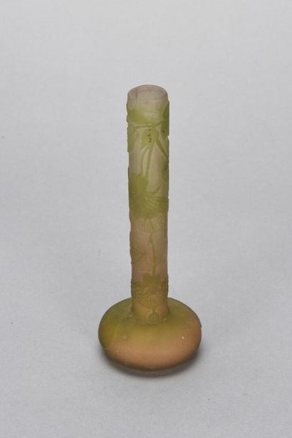 null Emile GALLÉ (1846-1904)

Vase à long col à base aplatie en verre multicouche...