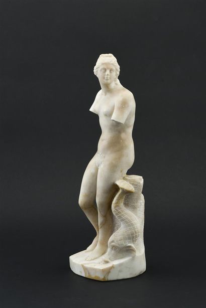 null D'après l'Antique Venus callipyge en albâtre 

19ème siècle

H : 44 cm

(accidents...