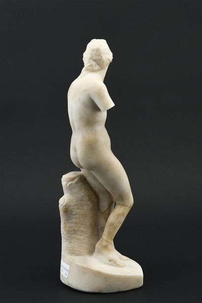 null D'après l'Antique Venus callipyge en albâtre 

19ème siècle

H : 44 cm

(accidents...