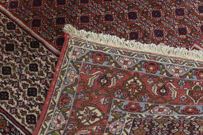 null Tapis Senneh, en laine à motif Boukhara 302 x 198 cm