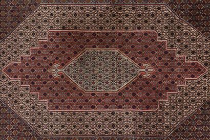 null Tapis Senneh, en laine à motif Boukhara 302 x 198 cm