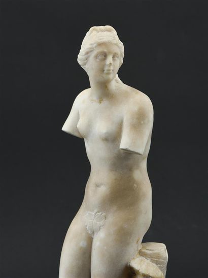 null D'après l'Antique Venus callipyge en albâtre 

19ème siècle

H : 44 cm

(accidents...