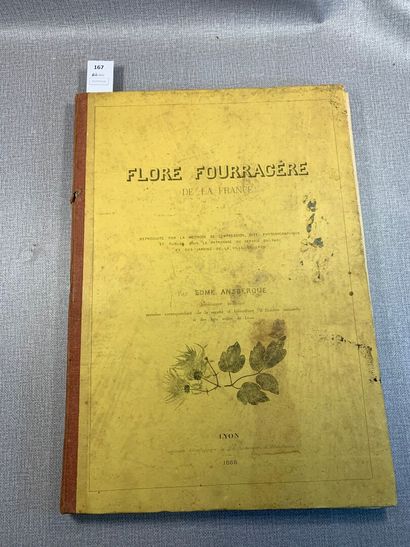 null Edme Ansberque. Flore fourragère de la France. Lyon, 1866. 1 volume in-folio...