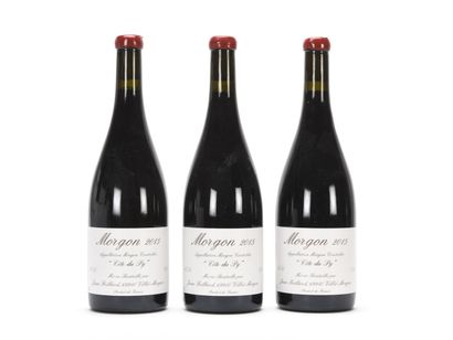 null 3 B MORGON CÔTE DU PY Jean Foillard 2015