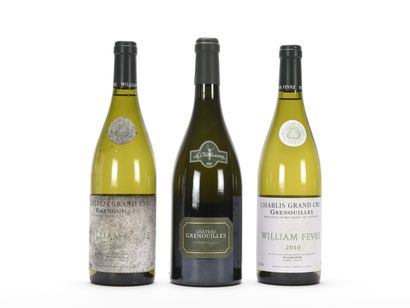 null 2 B CHABLIS GRENOUILLES (Grand Cru) (1 e.t.h. fortes) William Fevre 2010

1...