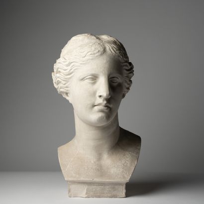 null Plâtre d'atelier, Buste de Venus

épreuve en plâtre 

Fin 19ème siècle

50 x...
