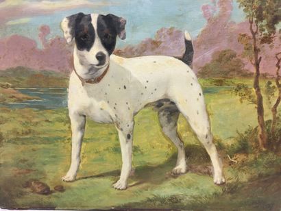 null AH ROY

Jack Russell

Huile sur toile

46 x 54 cm

Signé en bas à droite