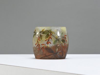 null DAUM NANCY

Vase de forme oblongue en verre doublé à décor dégagé à l'acide...
