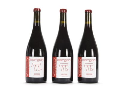 null 3 B MORGON CÔTE DU PY CUVÉE 3,14 Jean Foillard 2016