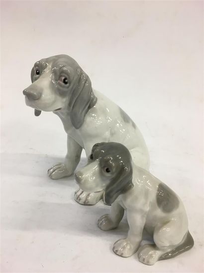 null Deux chiens en porcelaine

H plus grand : 14 cm