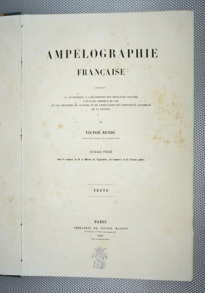 null RENDU (Victor) : Ampélographie française comprenant la statistique, la description...
