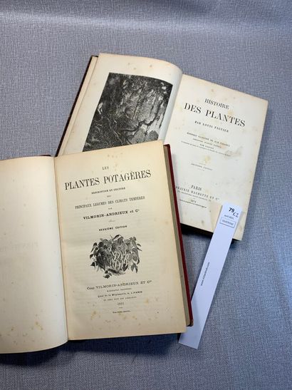 null [Botanique]. Un ensemble de 2 ouvrages : Les Plantes potagères par Villemorin-Andrieux,...