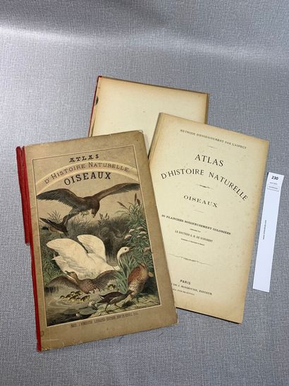 null Atlas d'histoire naturelle : Oiseaux. 1 volume fin XIXe orné de 30 planches...