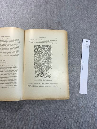 null Georges Gibault. Histoire des légumes. 1 volume in-8 broché. Paris, 1812.