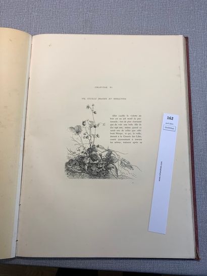 null Théophile Gautier. La Nature chez elle. 1 volume in-folio. Eaux fortes de Bodmer....