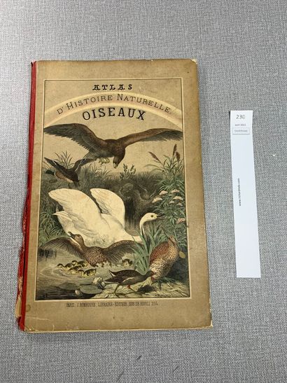 null Atlas d'histoire naturelle : Oiseaux. 1 volume fin XIXe orné de 30 planches...