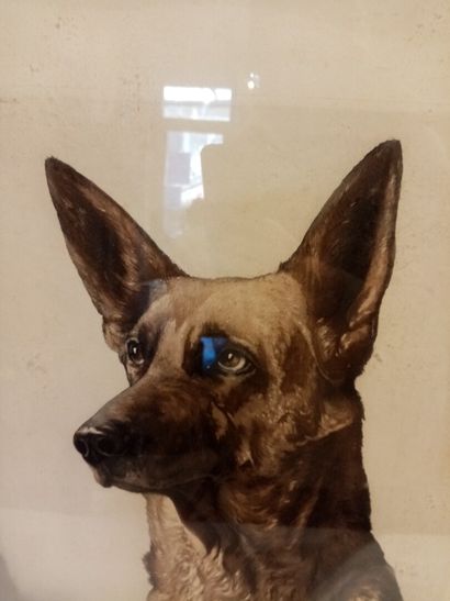 null MANUEL

Le chien de berger

Gravure en couleur

41 x 33 cm