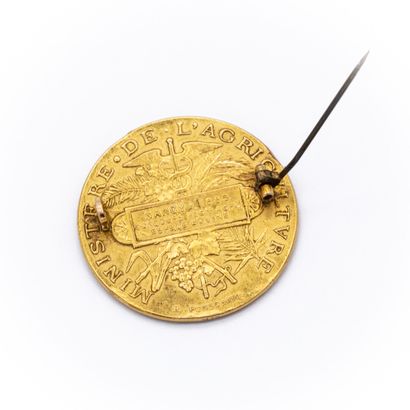 null Broche en or jaune 18 k (750) médaille de l'agriculture Nancy 1885 « concours...