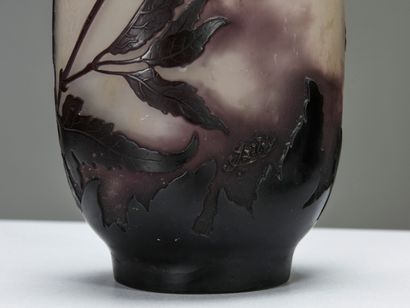 null Emile GALLÉ (1846-1904) 



Vase de forme oblongue en verre multicouche dans...