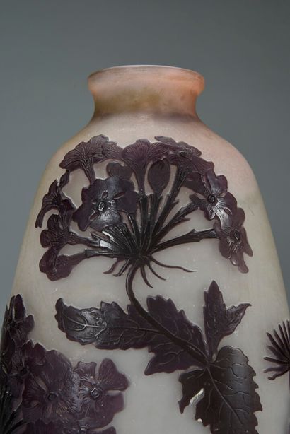 null Emile GALLÉ (1846-1904) 



Vase de forme oblongue en verre multicouche dans...