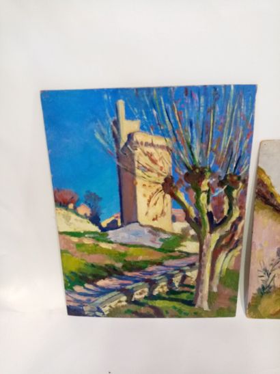 null Lucien GARY (1906-1989)

La tour carré et La Ferme dans la montagne 

Deux huiles...