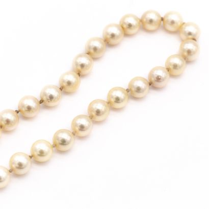 null Necklace with one row of cultured pearls of the same diameter. Clasp in yellow...