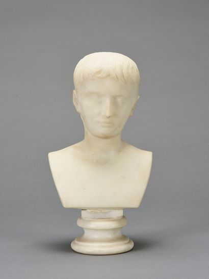 null Buste de Napoléon en empereur romain

Marbre blanc

H : 27 - L: 16 cm