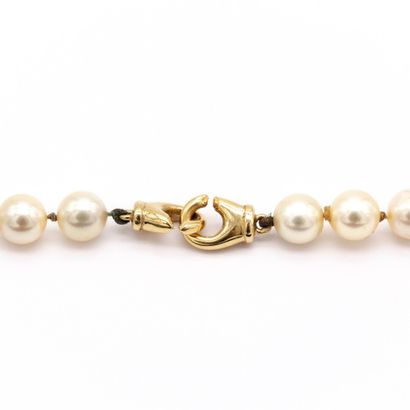 null Necklace with one row of cultured pearls of the same diameter. Clasp in yellow...