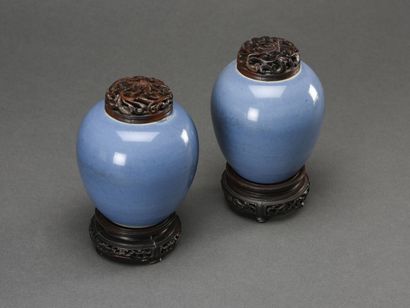 null CHINE, paire de pots couverts bleus à décor d'oiseaux

H totale : 15 cm