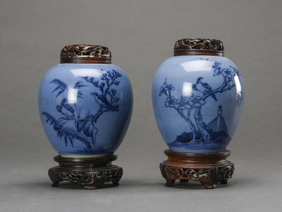 CHINE, paire de pots couverts bleus à décor...