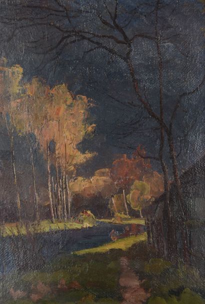  Francis VAN WAEYENBERGE 
Paysage de rivière, 
huile sur toile, signée en bas à droite...