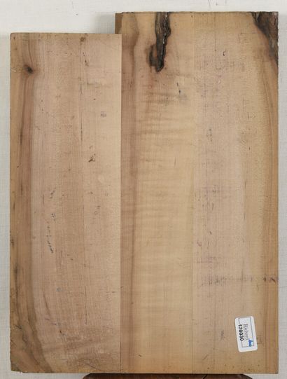null Vincent GONZALEZ (1928-2019)

Engraved wood with eyes decoration, 

29,5 x 38...