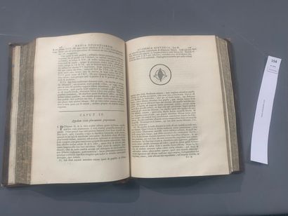 null [Sciences]. Du Hamel. Regiae scientiarum academia historia. Paris, 1701. Un...