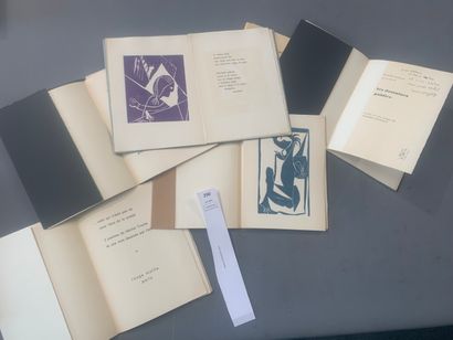 null Collection de la pointe du vent. Ensemble de 6 volumes illustrés en édition...