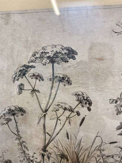 null D'après BLERY

Gravure de fleurs de champs

Daté 1842

48 x 34 cm