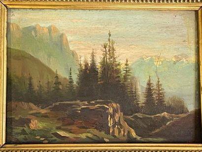 null A BILLON

Paysage de montagne

Huile sur panneau

SBD

14 x 19 cm